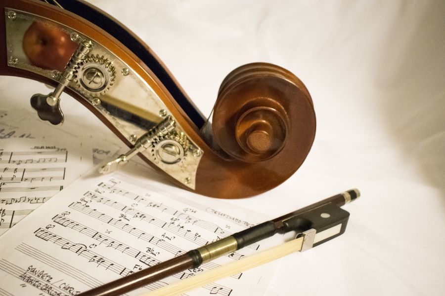 European Maple Classical Violins